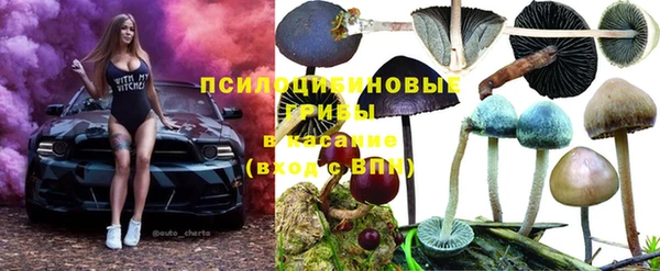 молекула духа Новокубанск