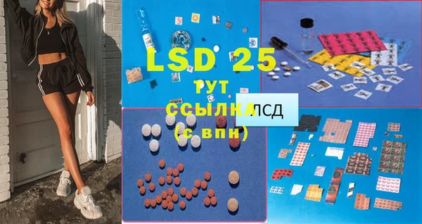 стаф Няндома